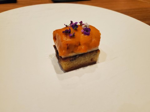 Hokkaido Uni at Koya in Tampa