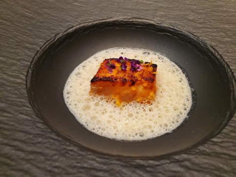 Ora King Salmon at Koya in Tampa