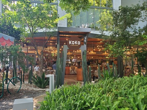 Outside under a Tree Canopy at KOKO in Coconut Grove