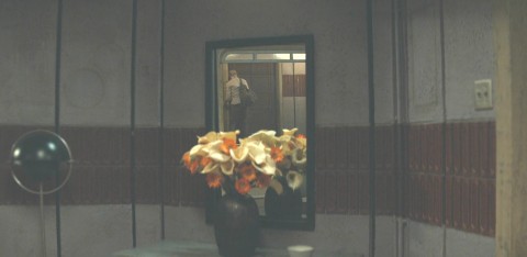 The flowers in front of the mirror