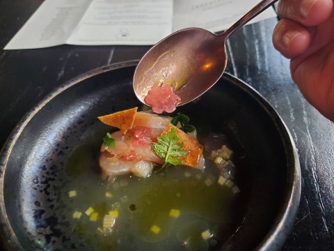 Closer look at Seth's Ume-Su Cured-Hamachi at the Stubborn Seed in Miami Beach