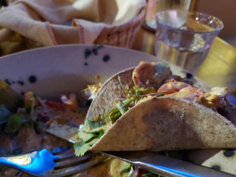 Grilled Black Grouper Soft Taco at Los Felix in Coconut Grove